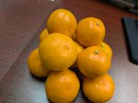 �幩���ǹ礻