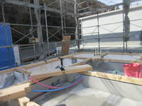 �������̾��Į��